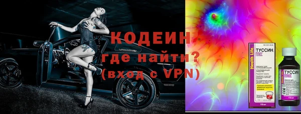 индика Дмитриев