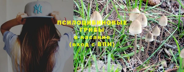 прущая мука Осташков