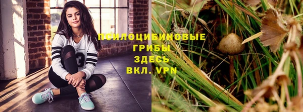 прущая мука Осташков