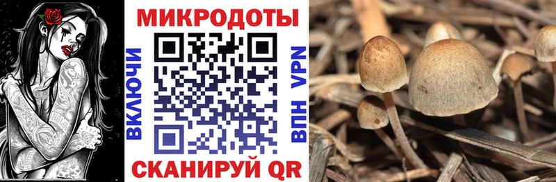 Псилоцибиновые грибы мицелий  Сельцо 