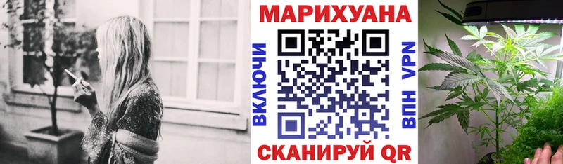 магазин продажи   Сельцо  Марихуана индика 
